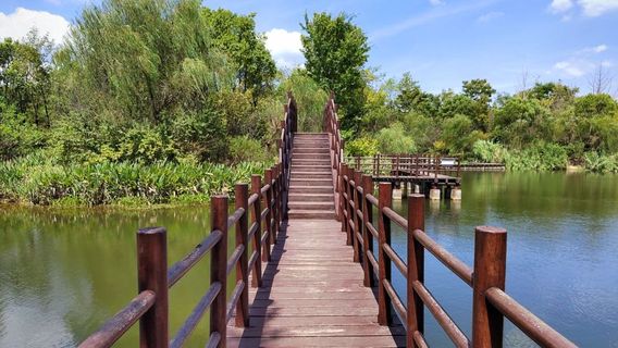 Pingshui Lake Wetland Park