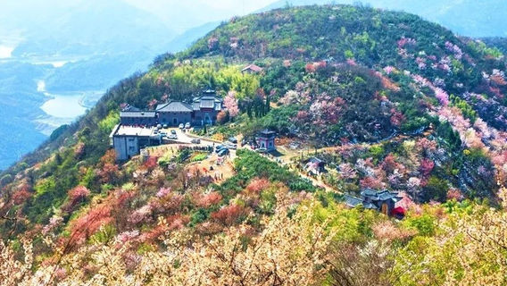 赤壁市葛仙山中國櫻花園