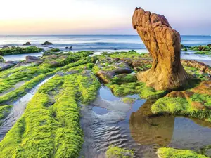 Beach Co Thach