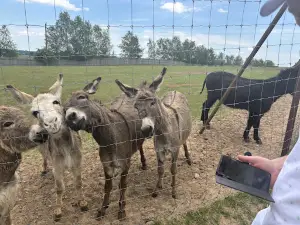 Trakėnų Mini Zoo