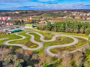 Green Garden Go kart