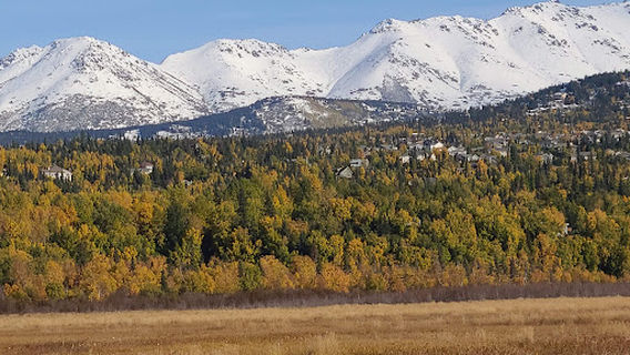 Potter Marsh Wildlife Viewing Boardwalk