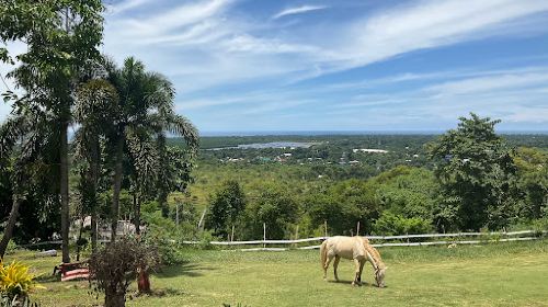 Mitra's Ranch