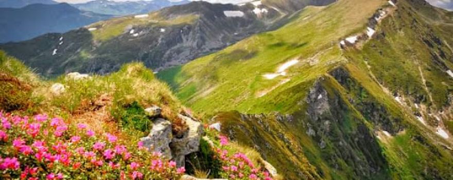 Rodna Mountains