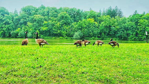 Hinckley Lake Fishing Area