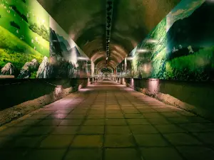 Akiyoshido Cave (Kurotani Entrance)