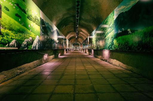 Akiyoshido Cave (Kurotani Entrance)