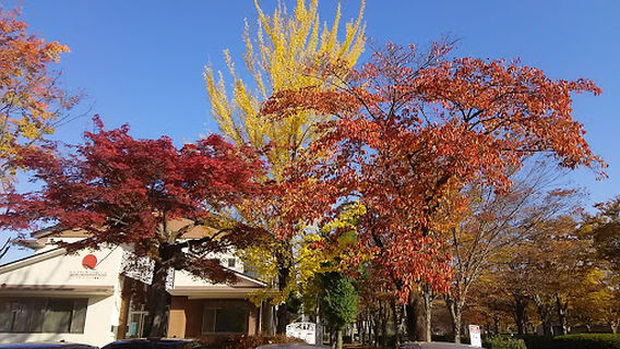 Shirakawashi Sogoundo Park