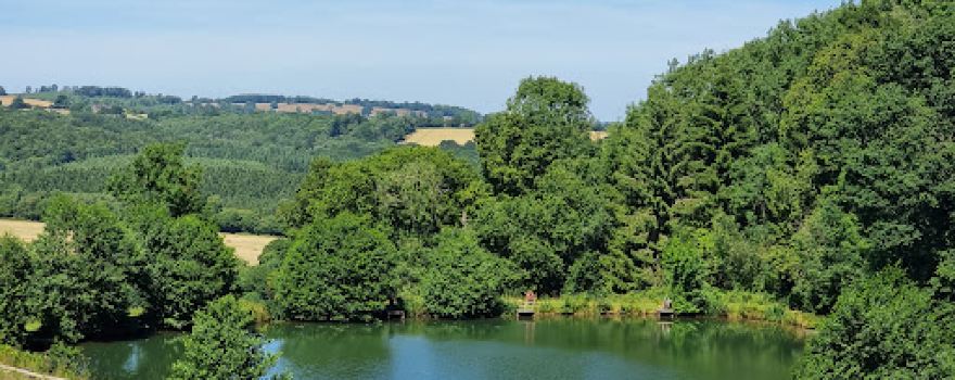 Shatterford Lakes / NICE FISHING