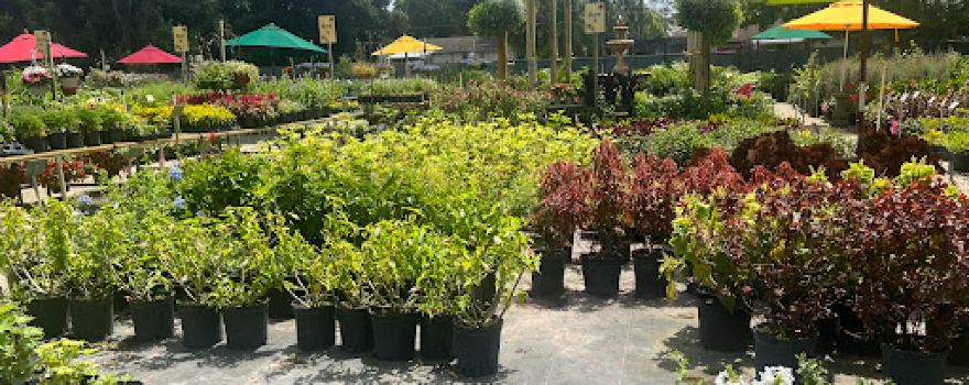 DeBary Nursery