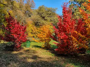 Tiszakürti Arborétum Természetvédelmi terület