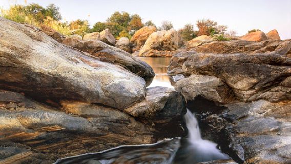 Limpopo-Lipadi Wildlife and Wilderness Reserve