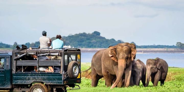 Udawalawe National Park