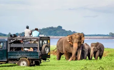 Udawalawe National Park