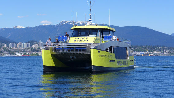 Prince of Whales Whale & Marine Wildlife Adventures Victoria