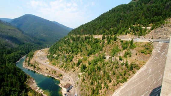 Flathead National Forest