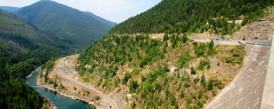 Flathead National Forest