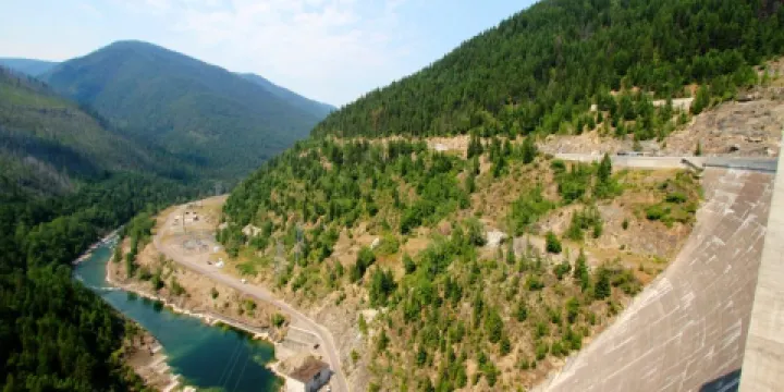 弗拉特黑德國家森林