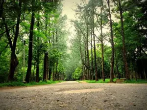 National Botanical Garden, Mirpur, Dhaka