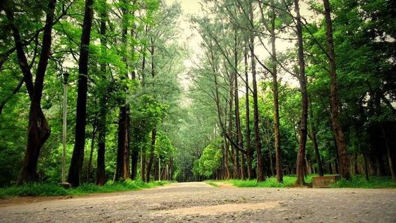 National Botanical Garden, Mirpur, Dhaka