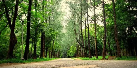 National Botanical Garden