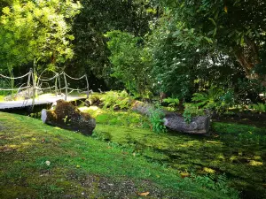 Jardin Botanico Atlantico