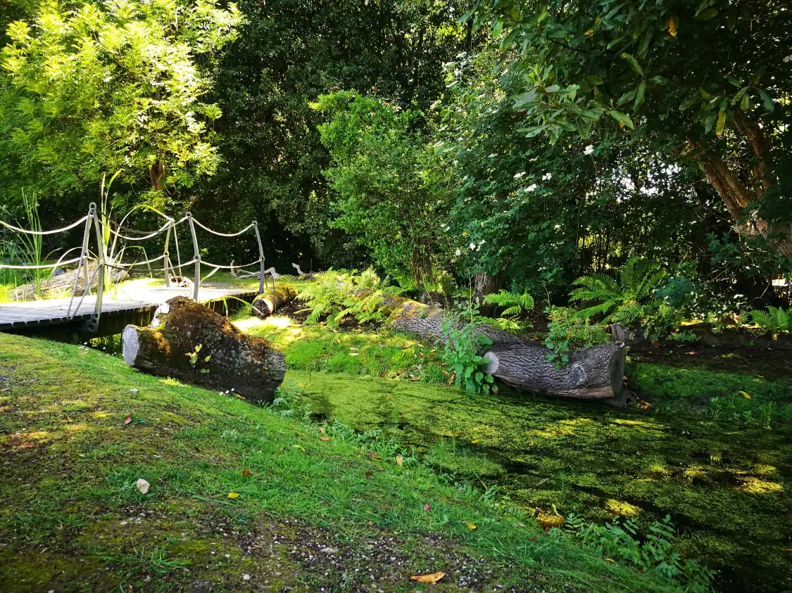 Hotels in der Nähe von Jardin Botanico Atlantico