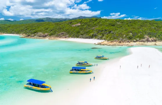 海洋筏運遊北方風光成人