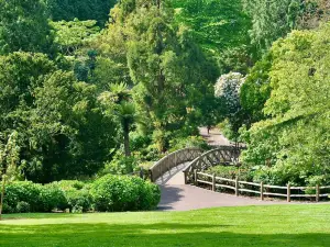 National Trust - Trelissick Garden