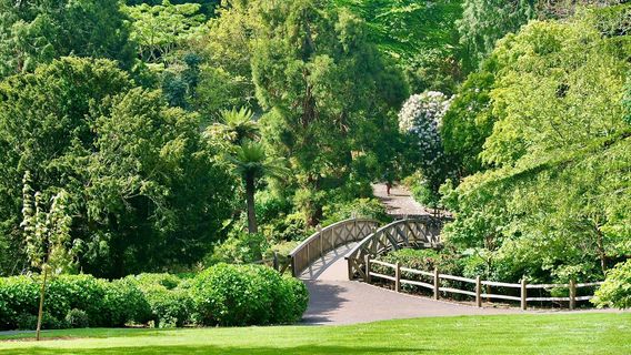 ナショナル・トラスト - トレリスシック・ガーデン