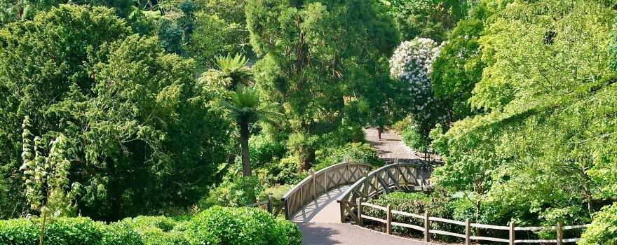 National Trust - Trelissick Garden