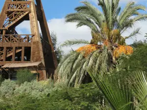 Fuerteventura Botanical Garden
