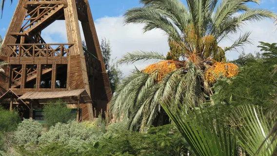 Fuerteventura Botanical Garden