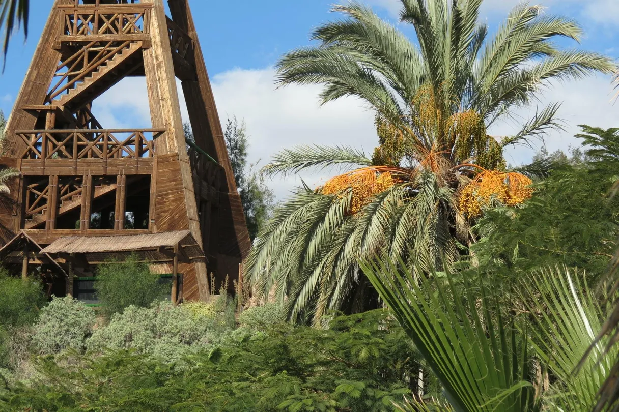 1_Fuerteventura Botanical Garden