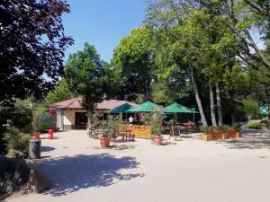 Vivarium Darmstadt