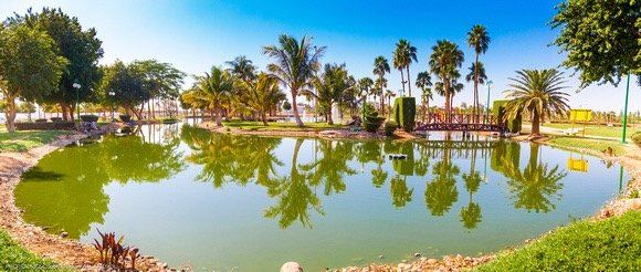 Vienna to Yanbu Flights