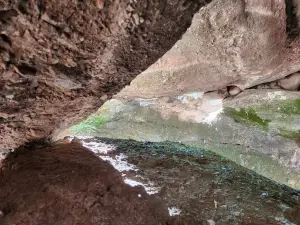 Los Terrones