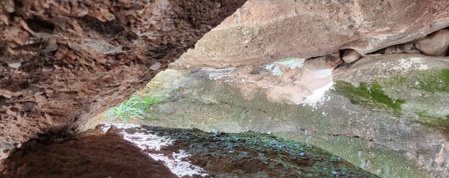 Los Terrones
