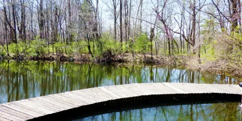 Aullwood Garden MetroPark