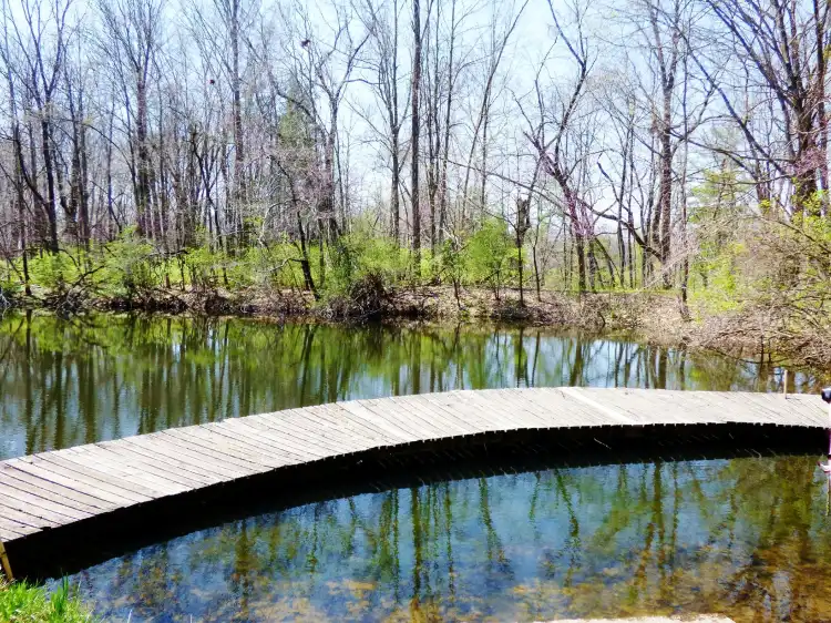 Butler Township