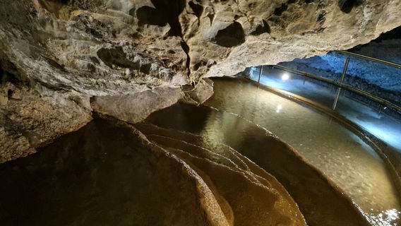 Mole Creek Caves