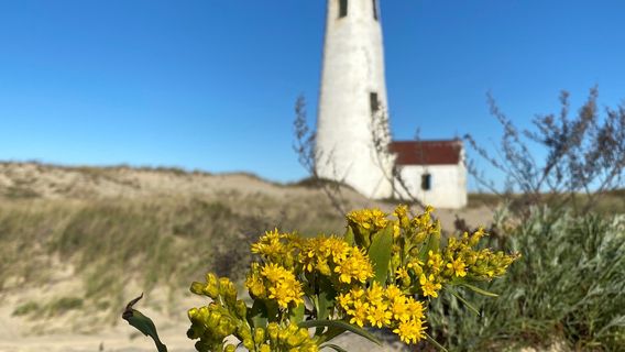 Great Point Lighthouse