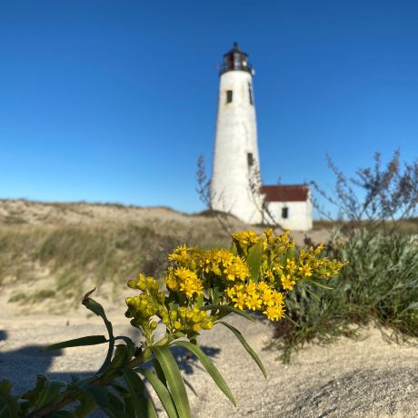 Great Point Lighthouse
