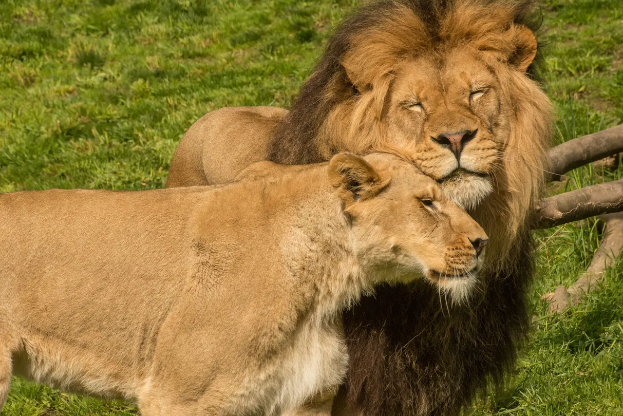 2_Oregon Zoo