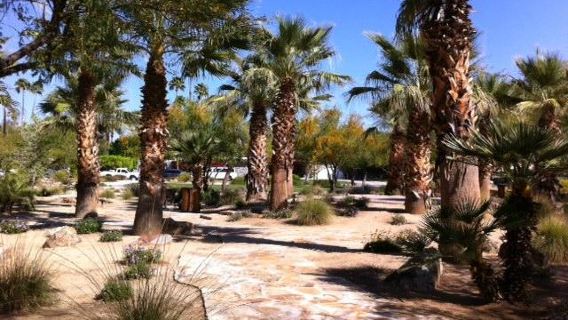 Ruth Hardy Park