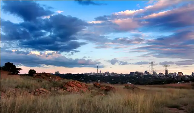 Hotels near Melville Koppies Nature Reserve