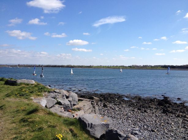Rinville Park