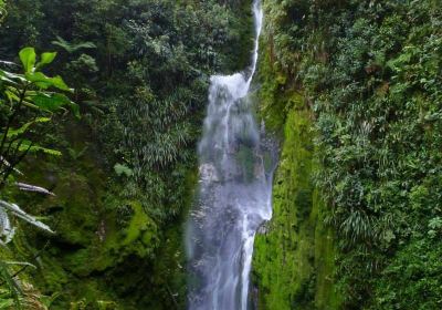Cotacachi-Cayapas Ecological Reserve
