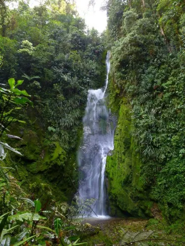 Cotacachi-Cayapas Ecological Reserve