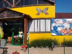 Butterfly House and Fairy Wood Butterfly Arc